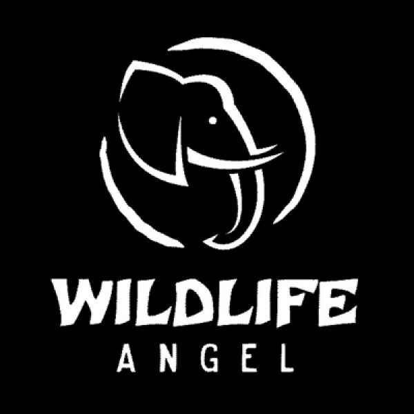 Wildlife Angel