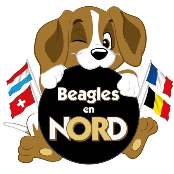 Asso Beagles en Nord