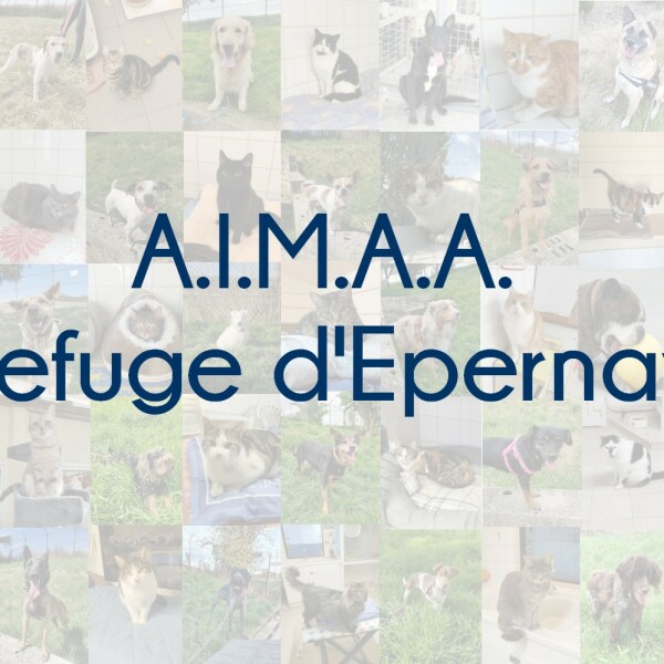 A.I.M.A.A. - Refuge d'Epernay