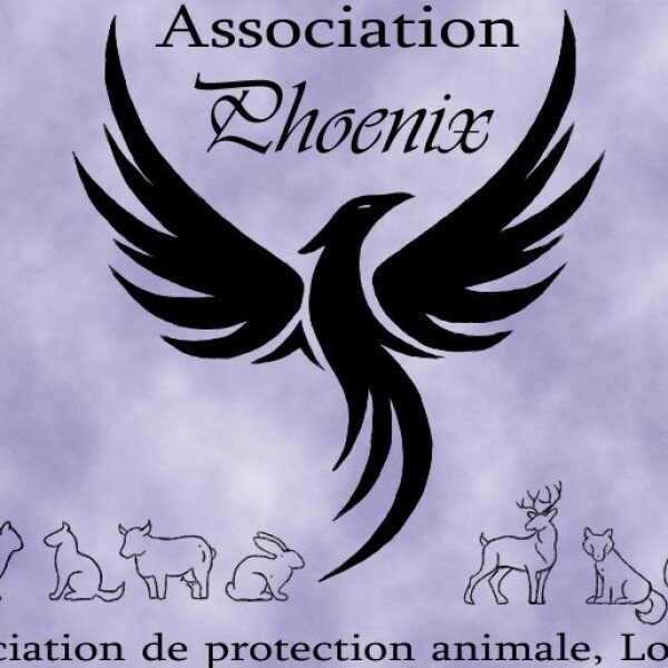Association Phoenix